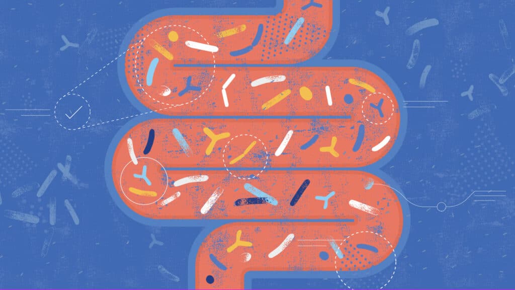 What Does Your Gut Microbiome ft