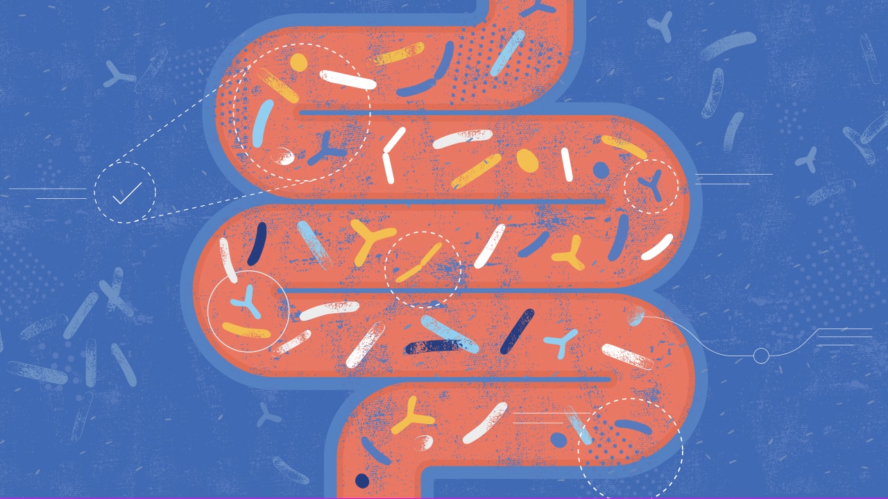 The Gut Microbiome: How Tiny Organisms Shape Your Metabolism and Health ...